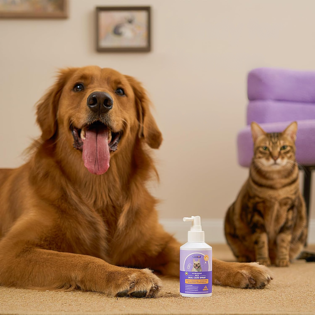 Haustier-Mundspray™